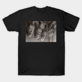 Penrhyn castle-Three heads T-Shirt